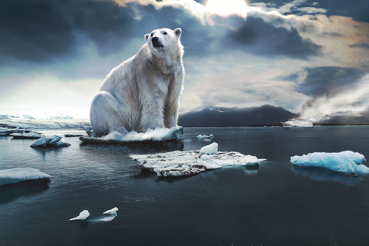 Embracing Change - The Heraclitian Principle